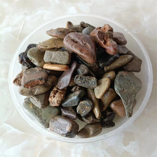 原生态溪流砂七彩溪底鱼缸过滤造景流石砂大叽砂五彩石诱色石