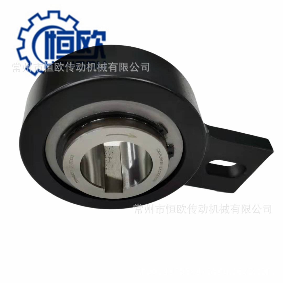 斗士提升机逆止器CK-N30100内径30mm现货供应