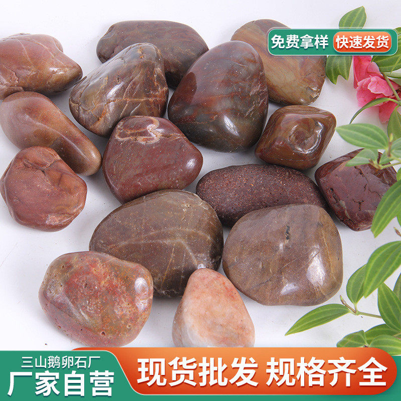红色抛光鹅卵石厂家铺路园林景观雨花石鱼缸造景工程批发石头