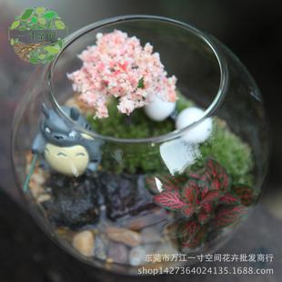 苔藓微景观 休闲垂钓 diy创意礼品微景观套装 摆件