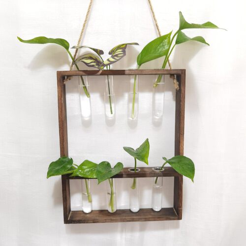 ins创意水培植物壁挂玻璃花瓶绿萝墙面吊瓶小清新小挂饰