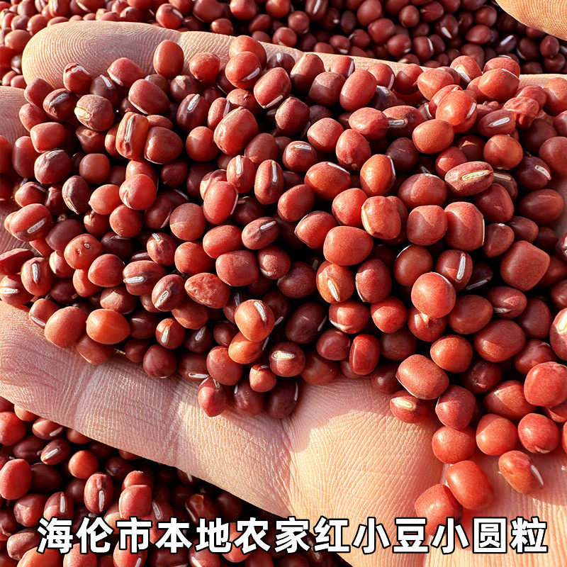 新货东北红小豆新红豆农家自产杂粮五谷粗粮非赤小豆食用豆类散装