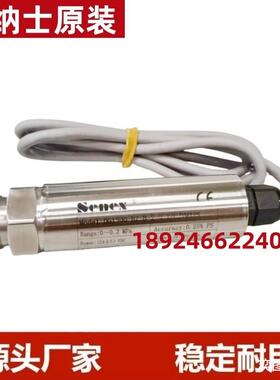 DG1300-BZ-A-2-250/GZ压力变送器Senex
