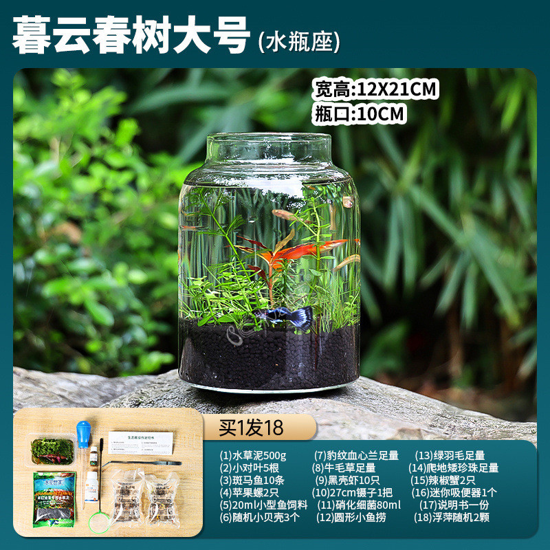 高脚杯生态瓶鱼免换水打理微景观科桌面diy作业办公学用造景鱼缸