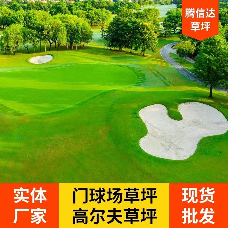 草坪人造仿真草皮人工假地毯草皮免填充室内高尔夫场地休闲场地毯,五金/工具,草坪网/草坪墙/工地围挡草坪,淘宝优惠券,粉丝福利购,淘宝优惠卷