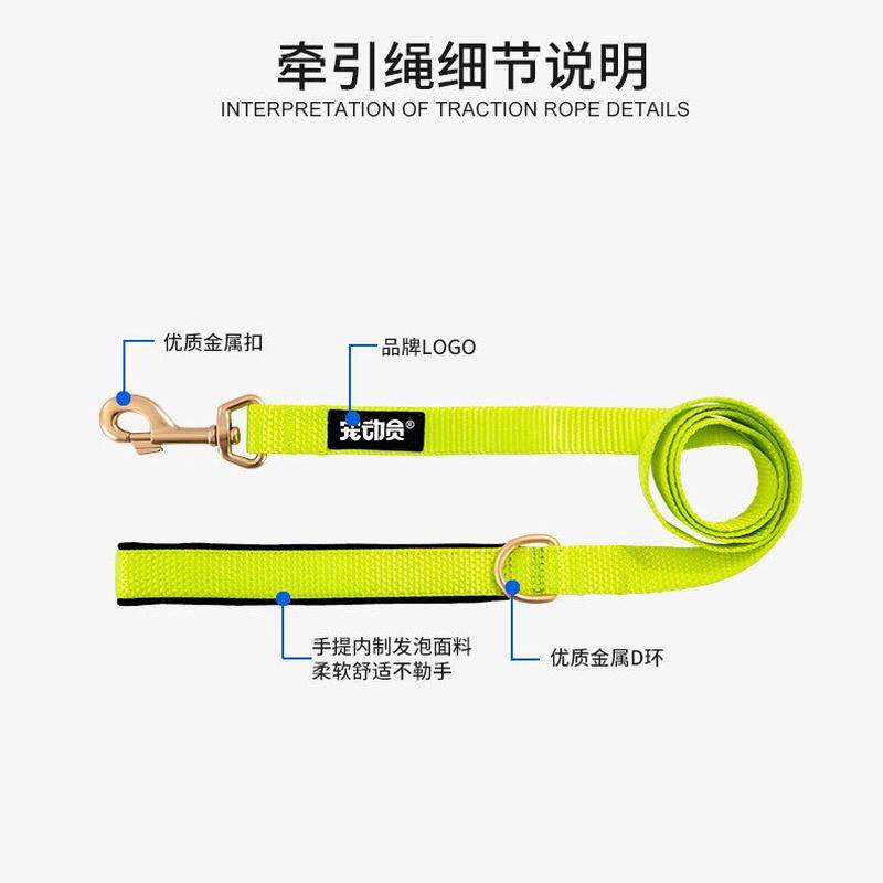 定制小狗狗宠物牵引狗绳中大型犬自动颈圈发光狗项圈厂家订货批发