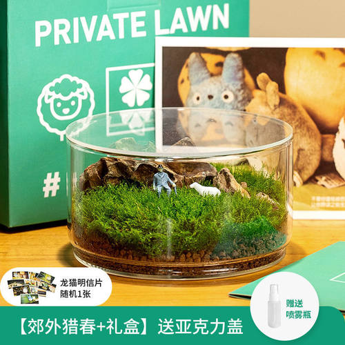 苔藓生态瓶闷系列微景观养种好发货桌面好养创意微缩苔藓摆件盆景