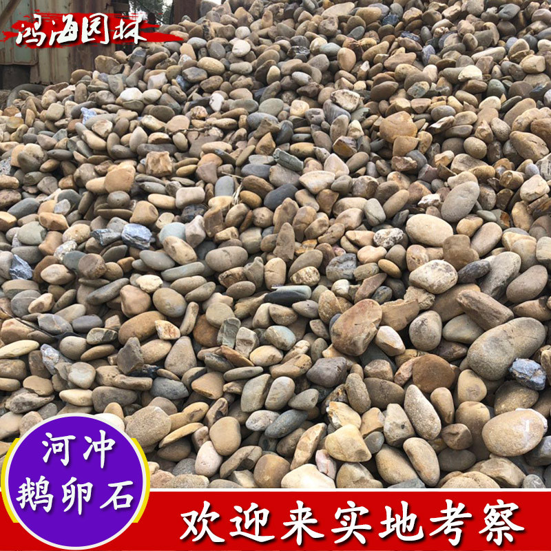 批发过滤盆栽鱼池石子铺面石材花园别墅铺路石彩色鹅卵石雨花石
