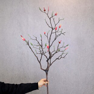 花批发软胶大枝玉兰苞艺术花树枝插花材造型枯枝射影道具