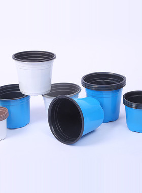 蓝色双色花盆pp塑料白花盆多肉育苗盆简易紫色花盆双色盆