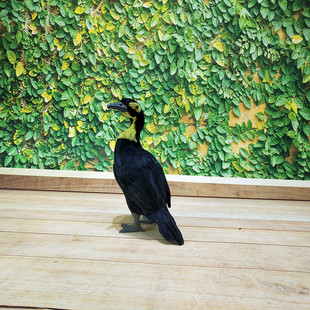 厂家直销羽毛仿真鸬鹚鱼鹰模型摆件园林布景道具装饰摆设造景渔船