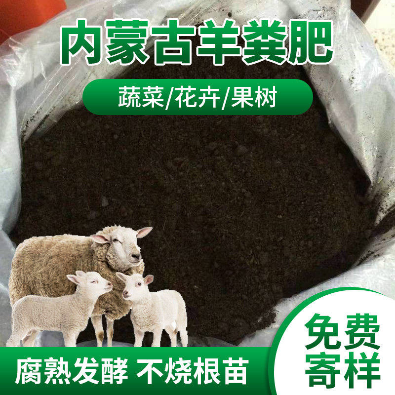 内蒙古羊粪球生物土壤肥料果蔬绿植发酵增肥腐熟发酵纯羊粪有机肥