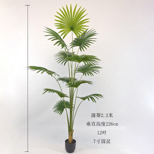 仿真蒲葵盆栽北欧绿植室内葵树大型造景装饰人造绿植摆件影视道具