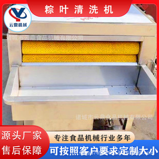 热销商用粽叶清洗全自动毛辊刷清洗机设备不锈钢芦苇叶芭蕉叶洗叶