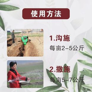 颗粒基底肥促花促果提高坐果硼肥果树蔬菜硼施追施量大从优