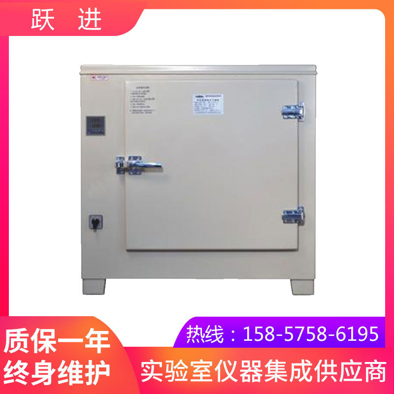 上海跃进HGZN-270电热恒温干燥箱(数码管显示）