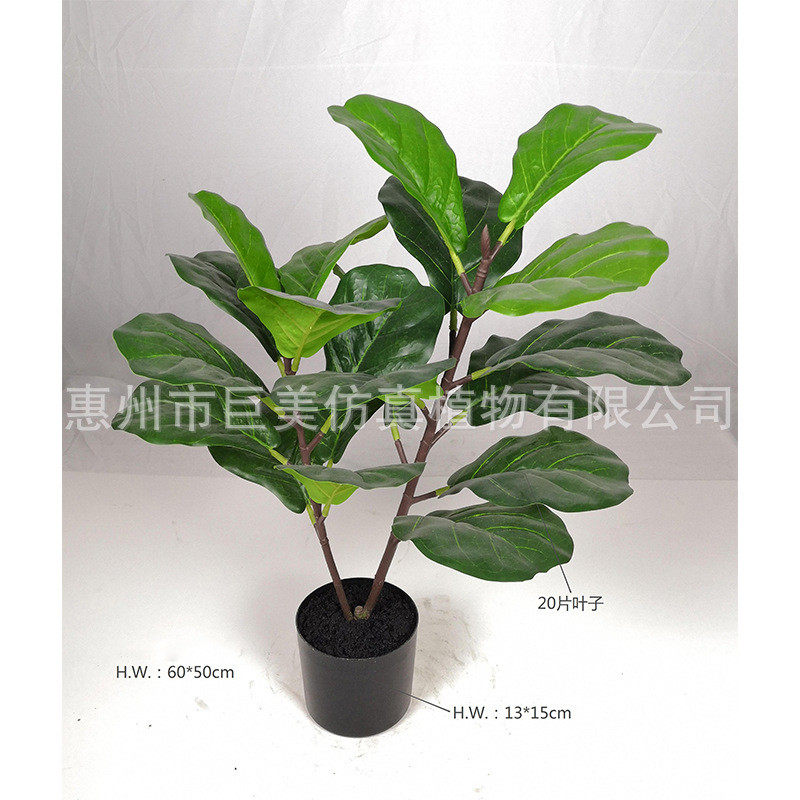 工厂直销芦叶琴叶榕圆叶橡胶树琴叶橡皮树餐厅装饰假树葫仿真来图