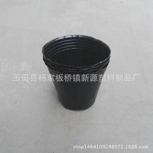 育苗批发厂家供应营养杯15x13黑色营养钵杯