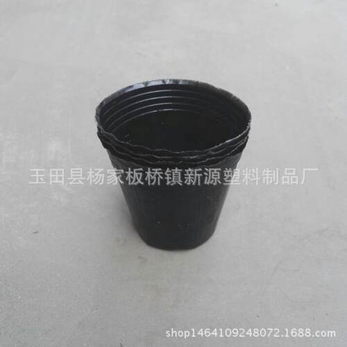 营养杯批发厂家供应营养钵15x13黑色育苗杯