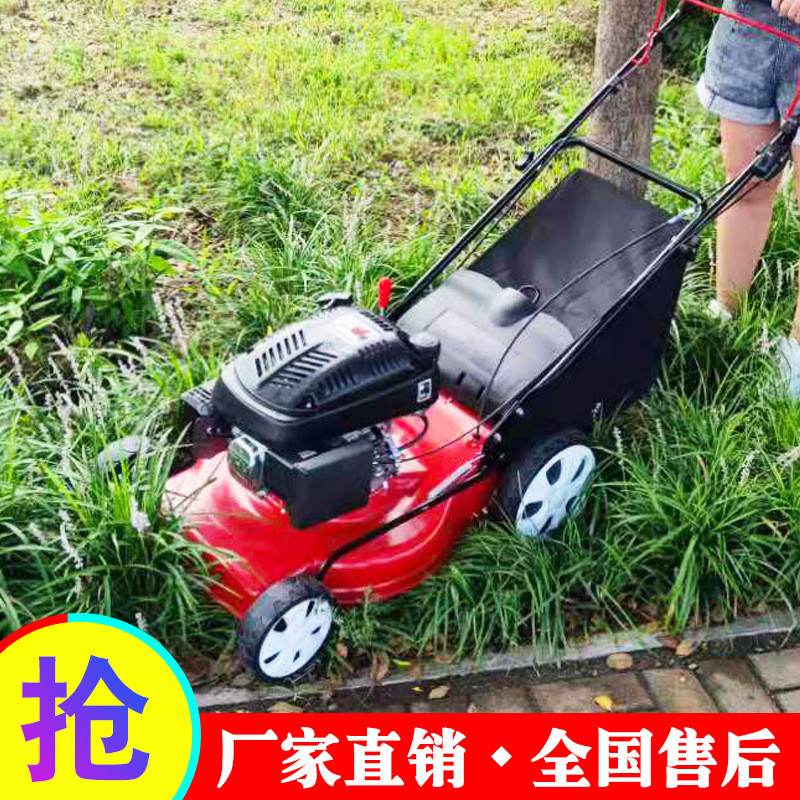 山东20寸自走型草坪机绿化园林机手推式割草机修草小型