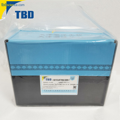 LTS1092 小鼠外周血 淋巴细胞 分离液 试剂盒 200ml/KIT 天津灏洋