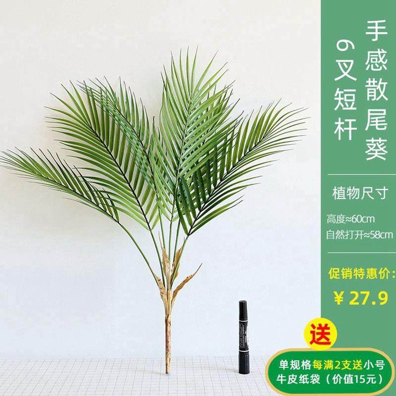 家居假花仿真植物散尾叶子凤尾竹北欧摄影民宿装饰绿植散尾葵