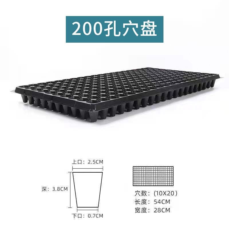 育苗盘加厚穴盘托盘育秧盘扦插培育盘西红柿辣椒玉米育种加深多肉