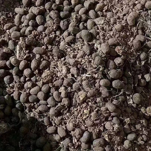 羊粪发酵有机肥纯肥料种菜肥花卉蔬菜农家盆栽羊粪蛋肥料