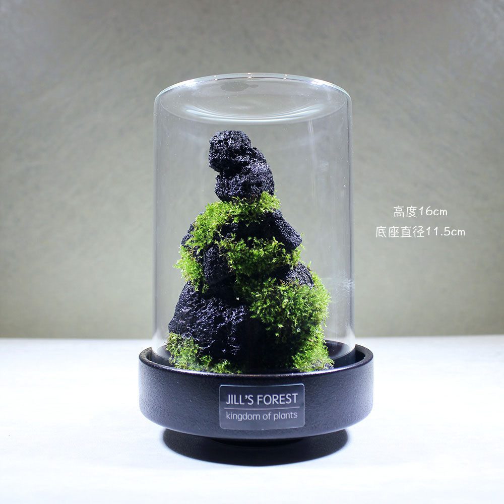 eq4f圈养/萤火系列苔藓生态瓶办公室微景观送朋友礼品生日