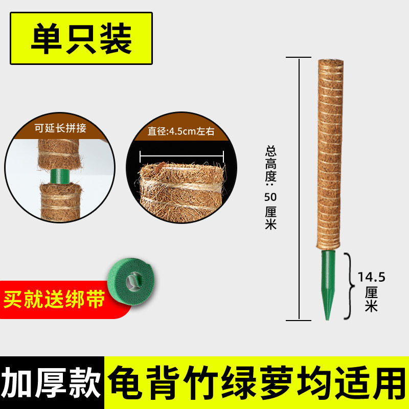 椰丝棒棕榈固定架架支撑杆绿箩植物爬藤花椰棕绿萝柱攀爬柱龟背竹