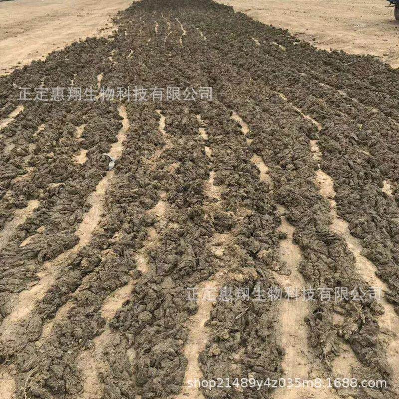 晾晒干鸡粪有机肥用果树蔬菜鸡粪肥料改良土壤生物有机肥,鲜花速递/花卉仿真/绿植园艺,介质/营养土,淘宝优惠券,粉丝福利购,淘宝优惠卷