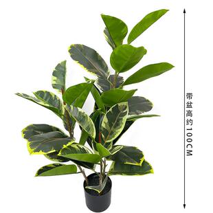 仿真橡皮树北欧仿生绿植橡胶树植物盆栽家居室内客厅落地装饰盆景