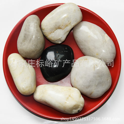 热销鱼缸造景装饰抛光鹅卵石3-6用鹅卵石多肉铺面用白色鹅卵石