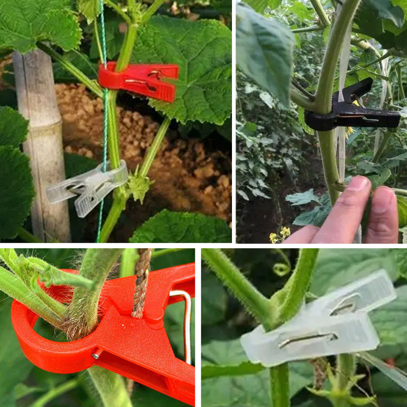 吊秧夹绑蔓夹大棚黄瓜吊秧夹藤蔓塑料夹固定夹农业发蔓夹批扶