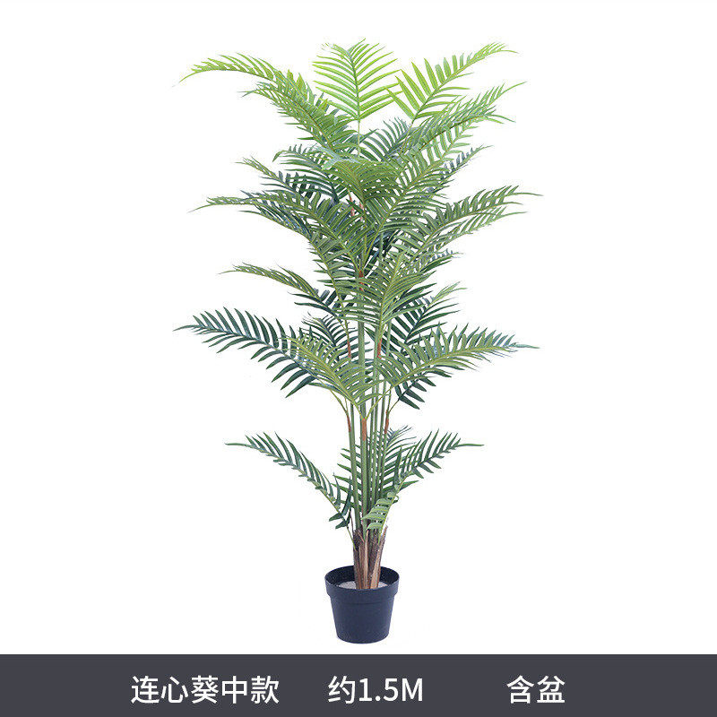 仿真落地树连心葵五指叉竹葵散尾葵羽尾凤尾葵夏威夷葵葵盆栽