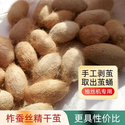 热销东北精干茧纯柞蚕丝榨蚕茧原料原茧茧精干开店用厂家直销假一