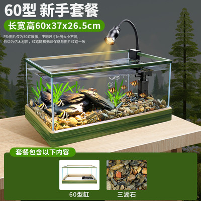 南美风溪流热带雨林客厅中小型桌面龟缸家用缸造景全套生态养鱼缸