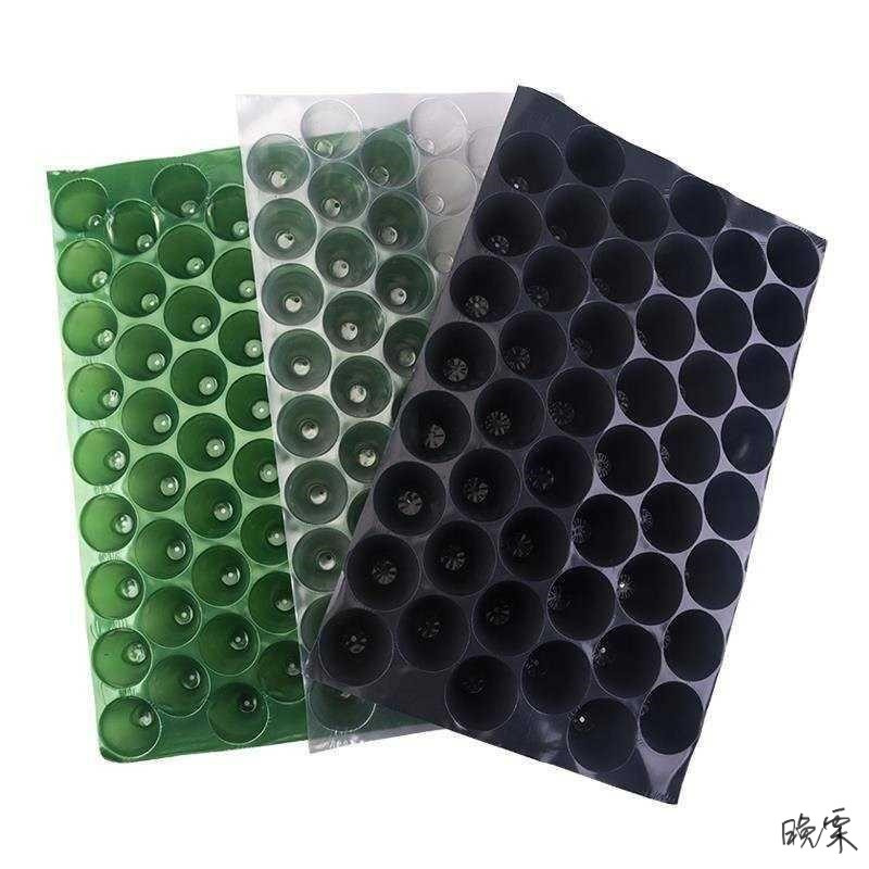 育苗穴盘孔穴玉米苗育苗钵营养钵蔬菜芽菜塑料培育多规格瓜果圆孔