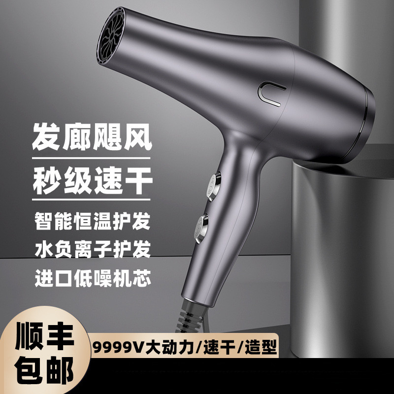 发廊专用电吹风机大风力家用吹头发理发店大功率负离子护速干飞夫