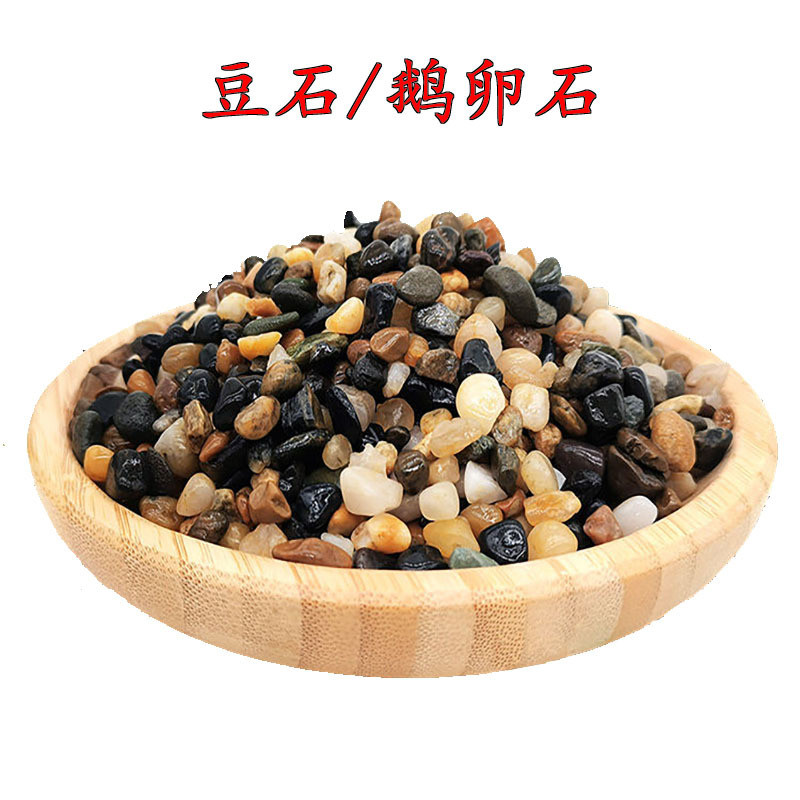 地暖鱼缸过滤石迷你汗蒸小鹅卵石豆石头园林铺路造景雨花石子装修