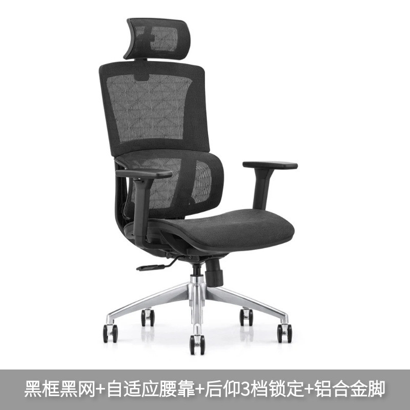 人体工学久坐电脑椅家用椅子舒适可升降可躺护腰书房办公椅