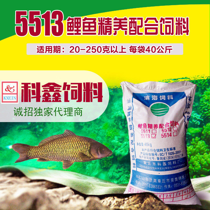 钓旺渔饵打窝颗粒鱼饲料水产养殖鲤草鱼颗粒鱼饵派鱼料厂价批发,畜牧/养殖物资,饲料原料,淘宝优惠券,粉丝福利购,淘宝优惠卷