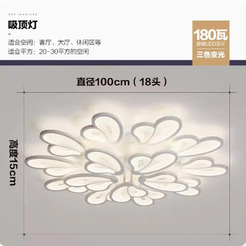 个性创意蝴蝶亚克力卧室灯客厅吸顶灯现代简约北欧花瓣餐厅灯