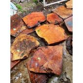 厂家销售茶盘金樟树榴家具红毛料原材料瘿木红色山香果