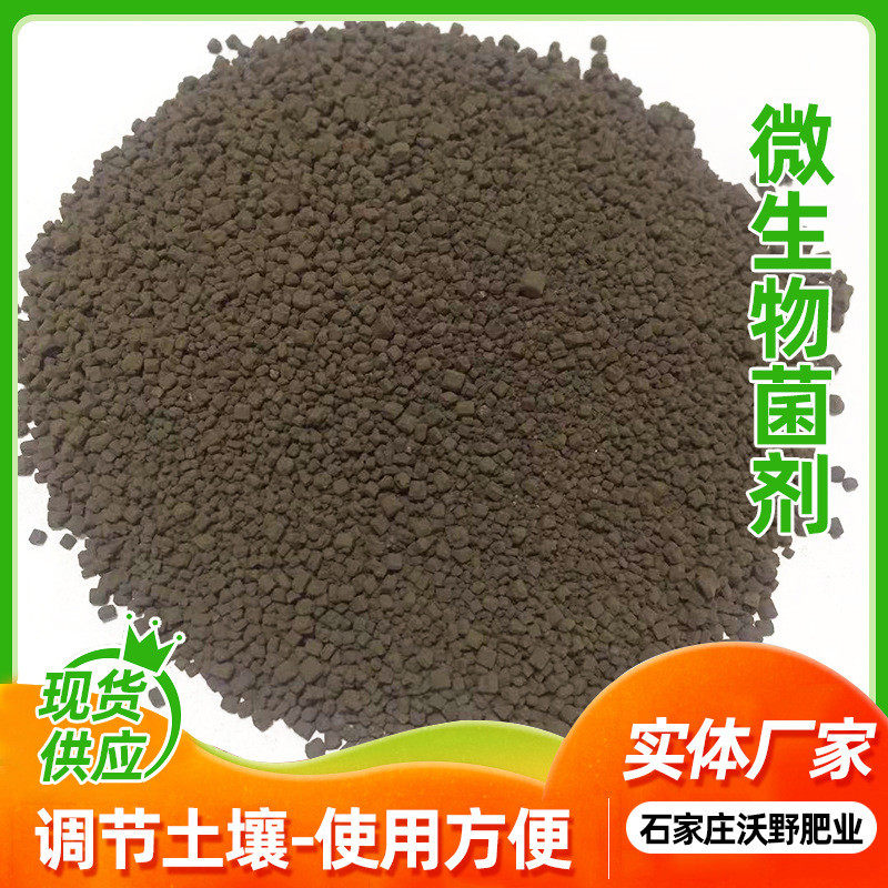 复合菌肥微生物定制蔬菜果树颗粒有机肥果多种活菌有机菌肥菌剂