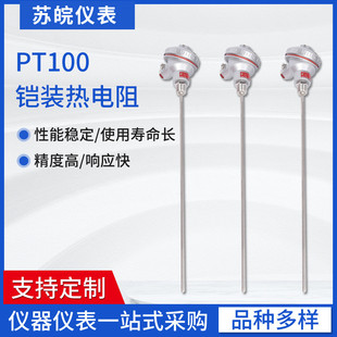 231螺纹热电阻pt100热电阻4分固定螺纹非标铠装 wzpk 探杆x20