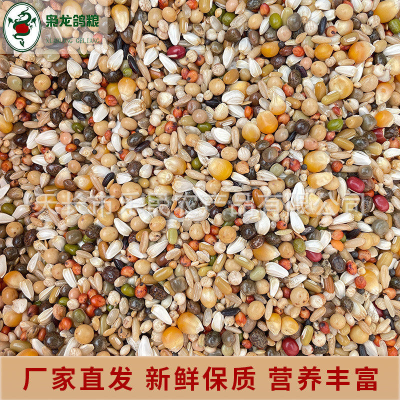 枭龙鸽粮jipin育雏50斤食窝小颗粒营养饲料赛鸽信鸽鸽子喷