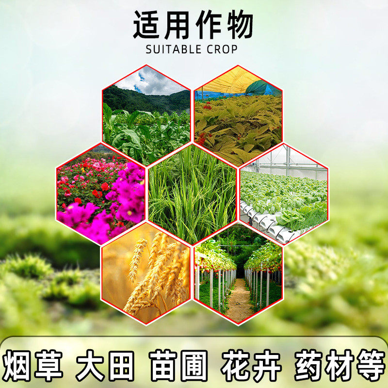 强力壮苗生根蔬菜微量元素剂花卉移栽扦插果树生根粉水溶冲施肥,鲜花速递/花卉仿真/绿植园艺,家庭园艺肥料,淘宝优惠券,粉丝福利购,淘宝优惠卷