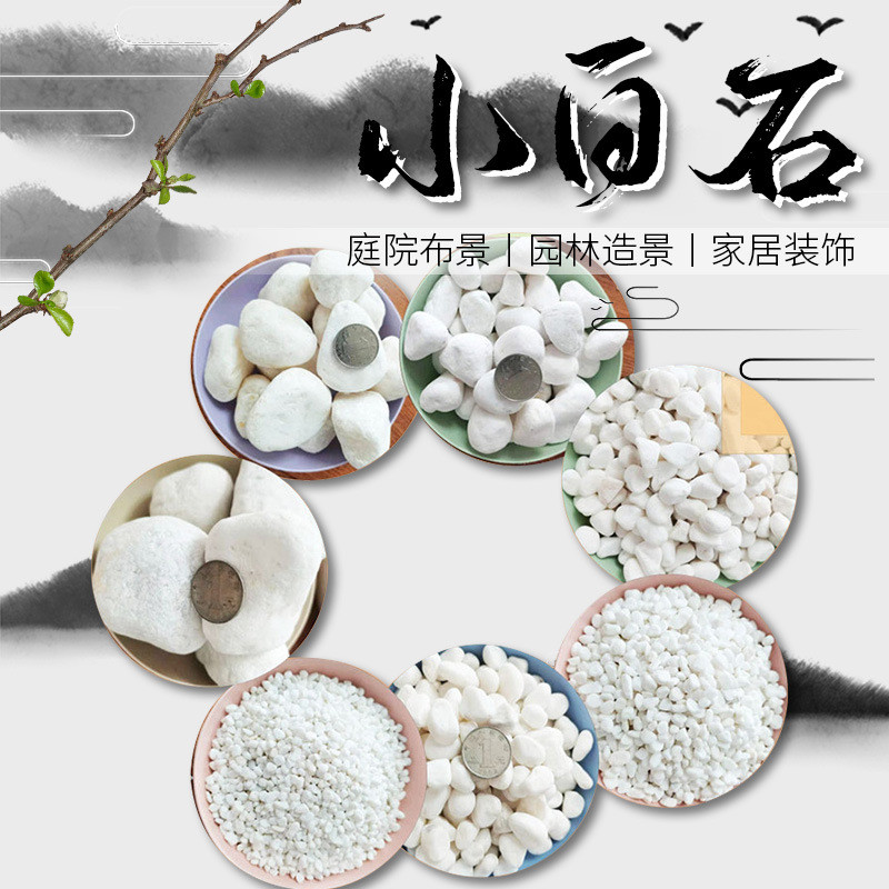 白色鹅卵石汉白玉砾石雪花白园艺盆栽庭院家装铺面景观美化造景石