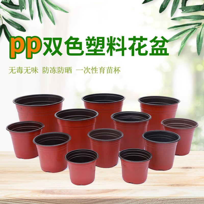 塑料双色花盆软塑育苗盆一次性加厚培育绿植多肉营养钵